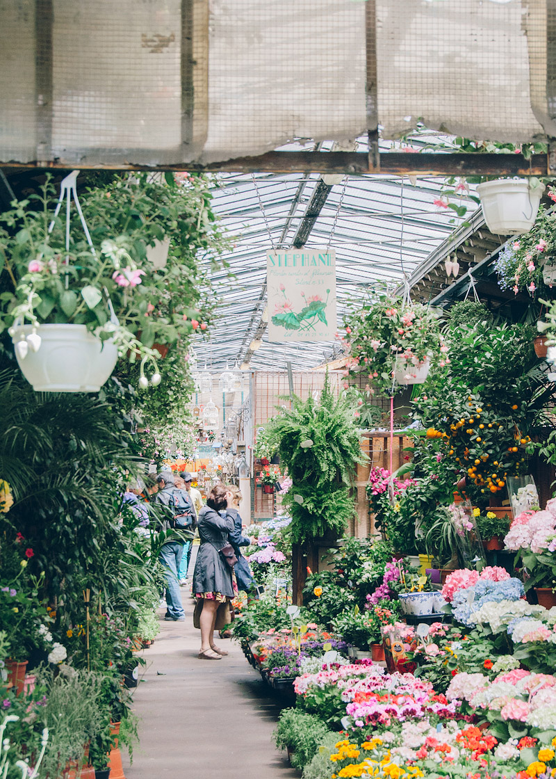Flower Market in Paris