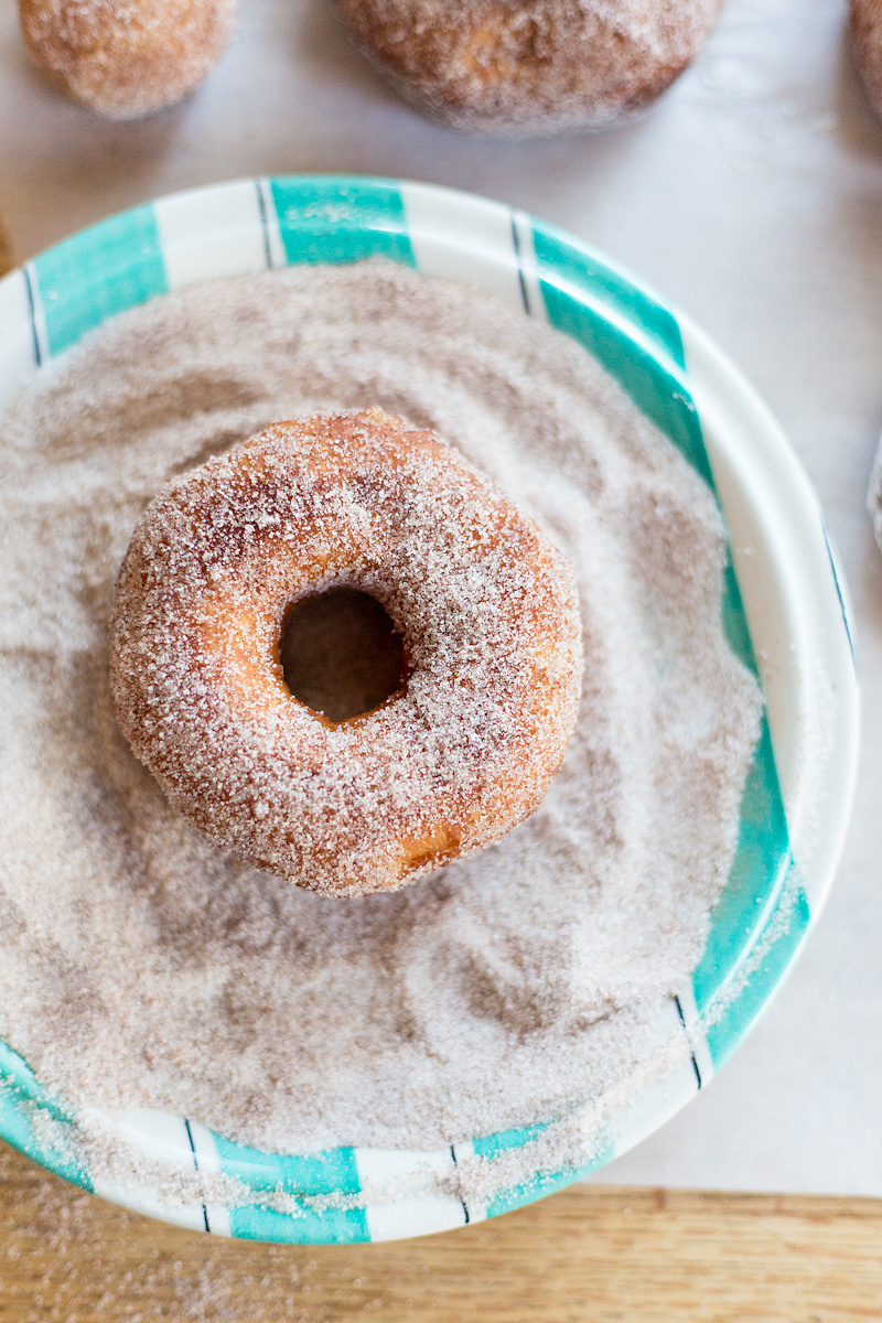 donut in cinnamon sugar