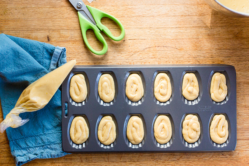 piping lemon madeleine cookies