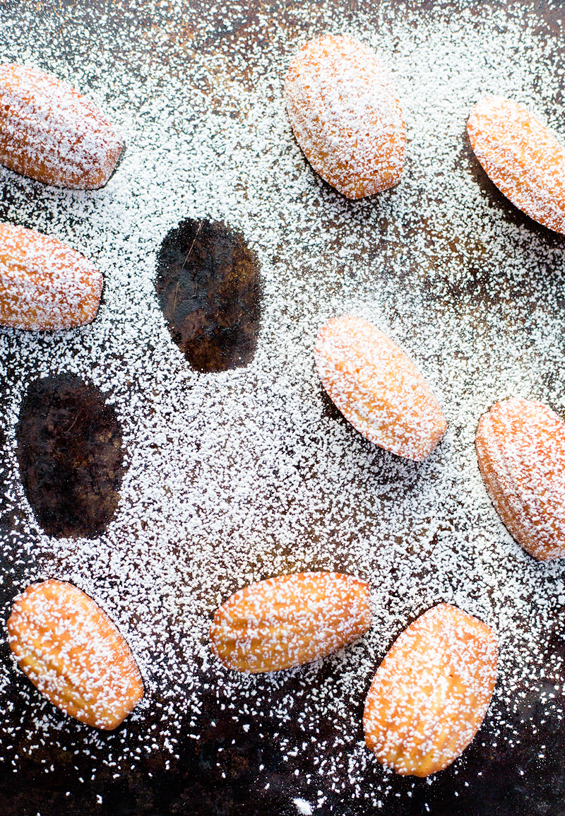 lemon madeleine cookies sprinkled with powdered sugar