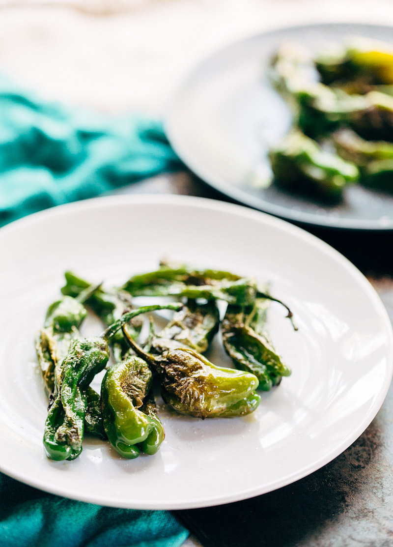 shishito peppers up close on a white plate