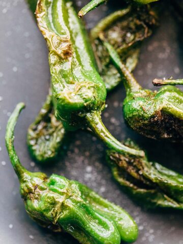 blistered shishito peppers up close