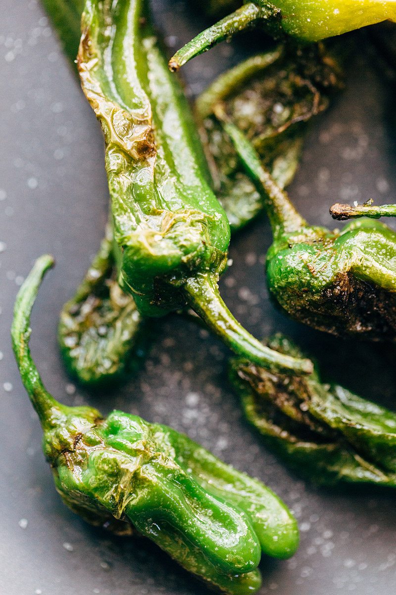 shishito peppers up close