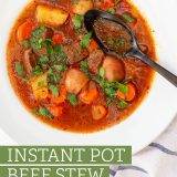 Instant Pot Beef Stew