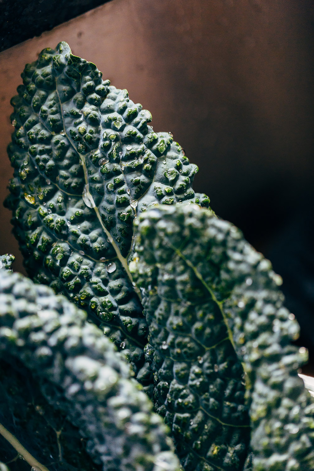 tuscan kale up close