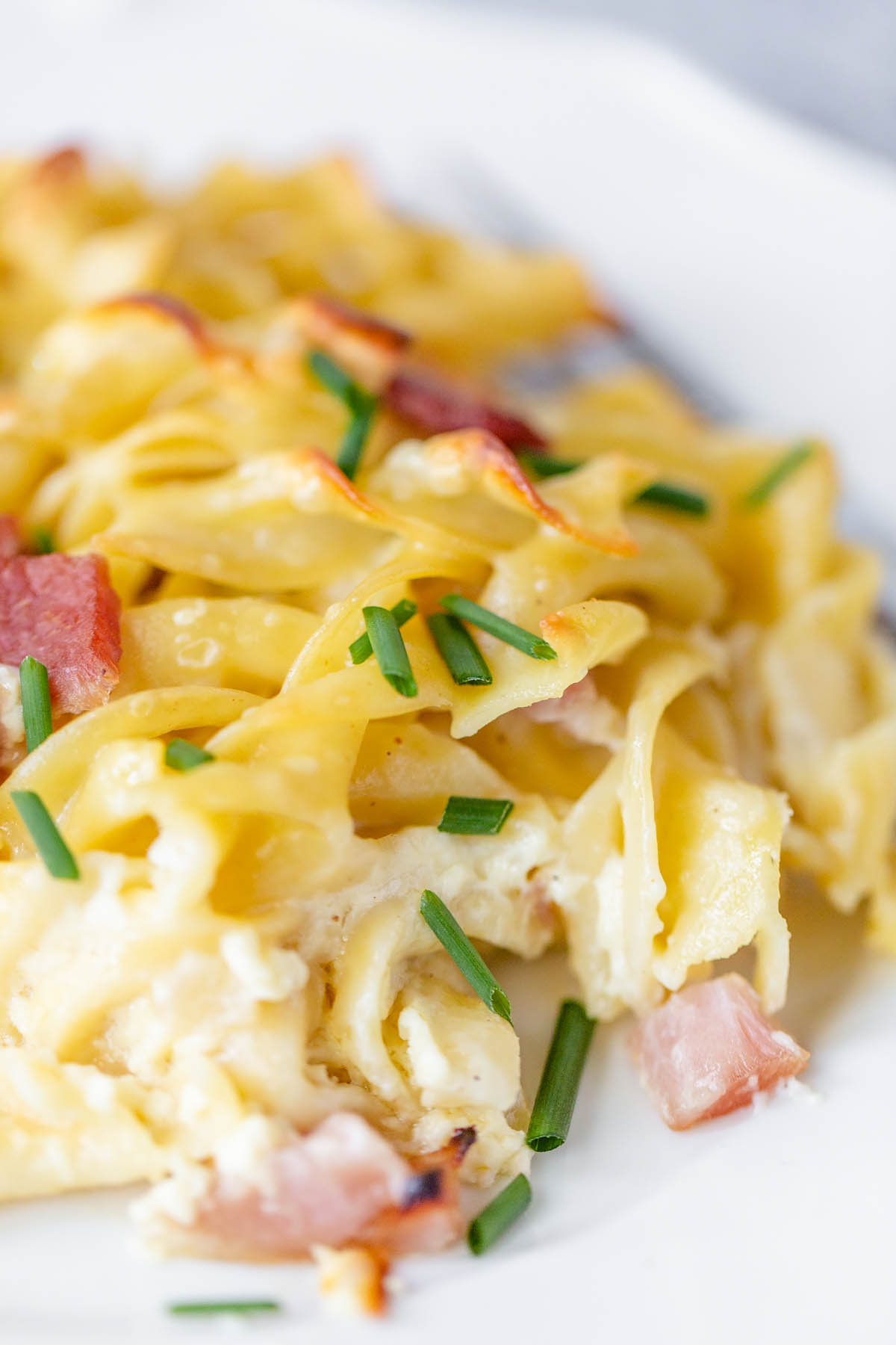 noodles and ham casserole up close