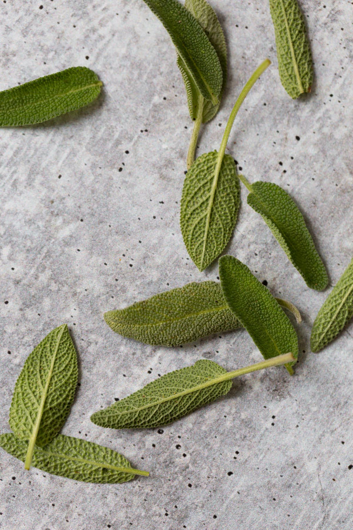 sage leaves