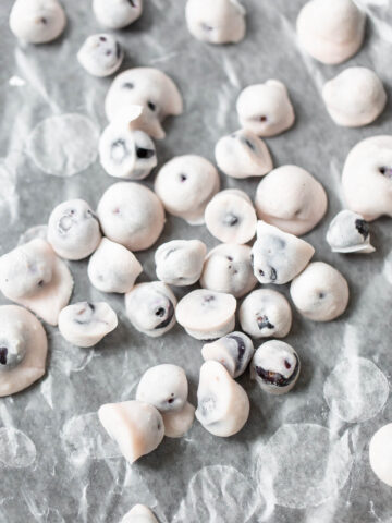 yogurt covered blueberries