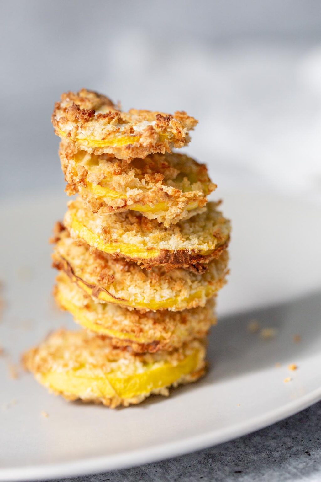 Air Fryer Squash Food Banjo