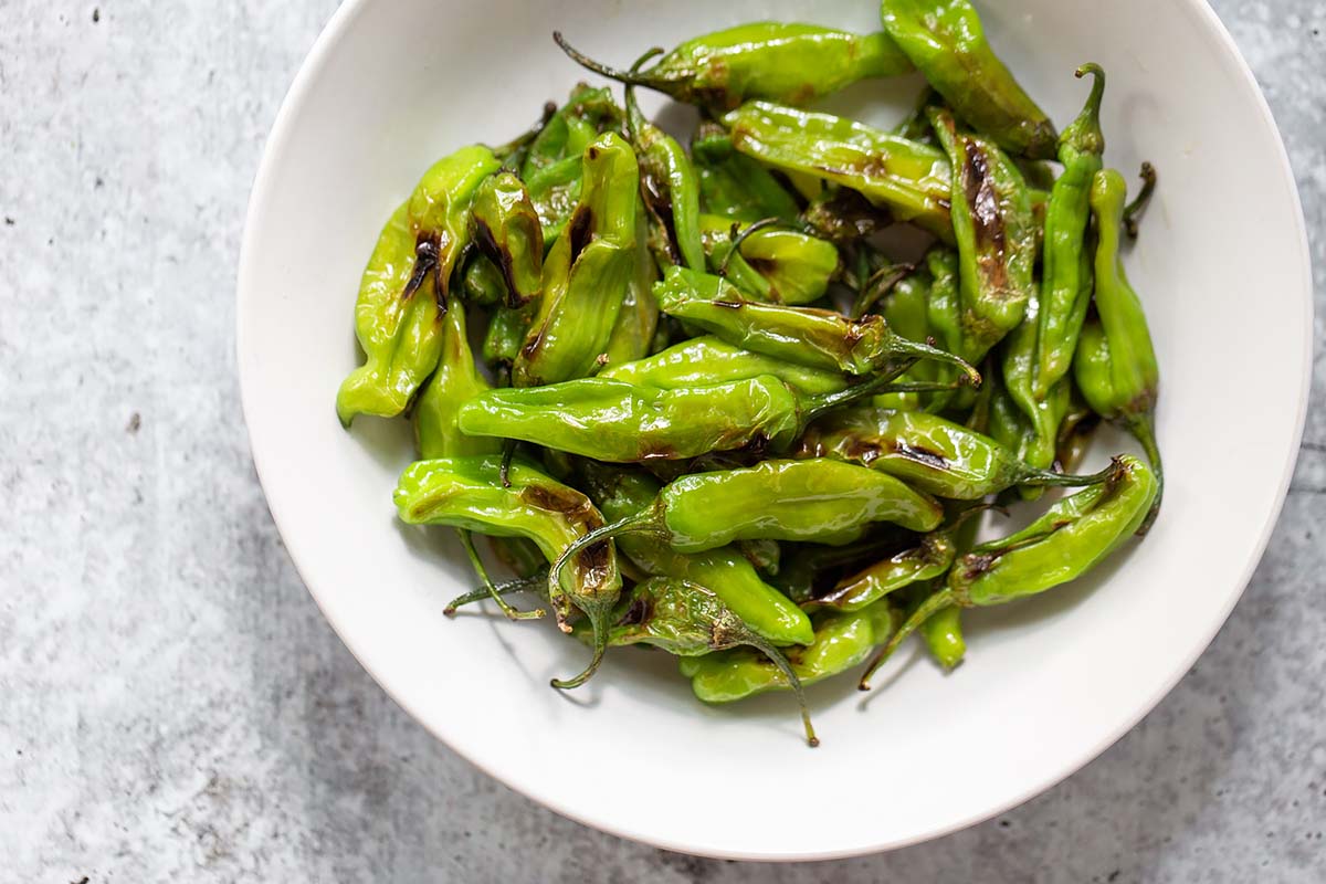 blistered shishito peppers