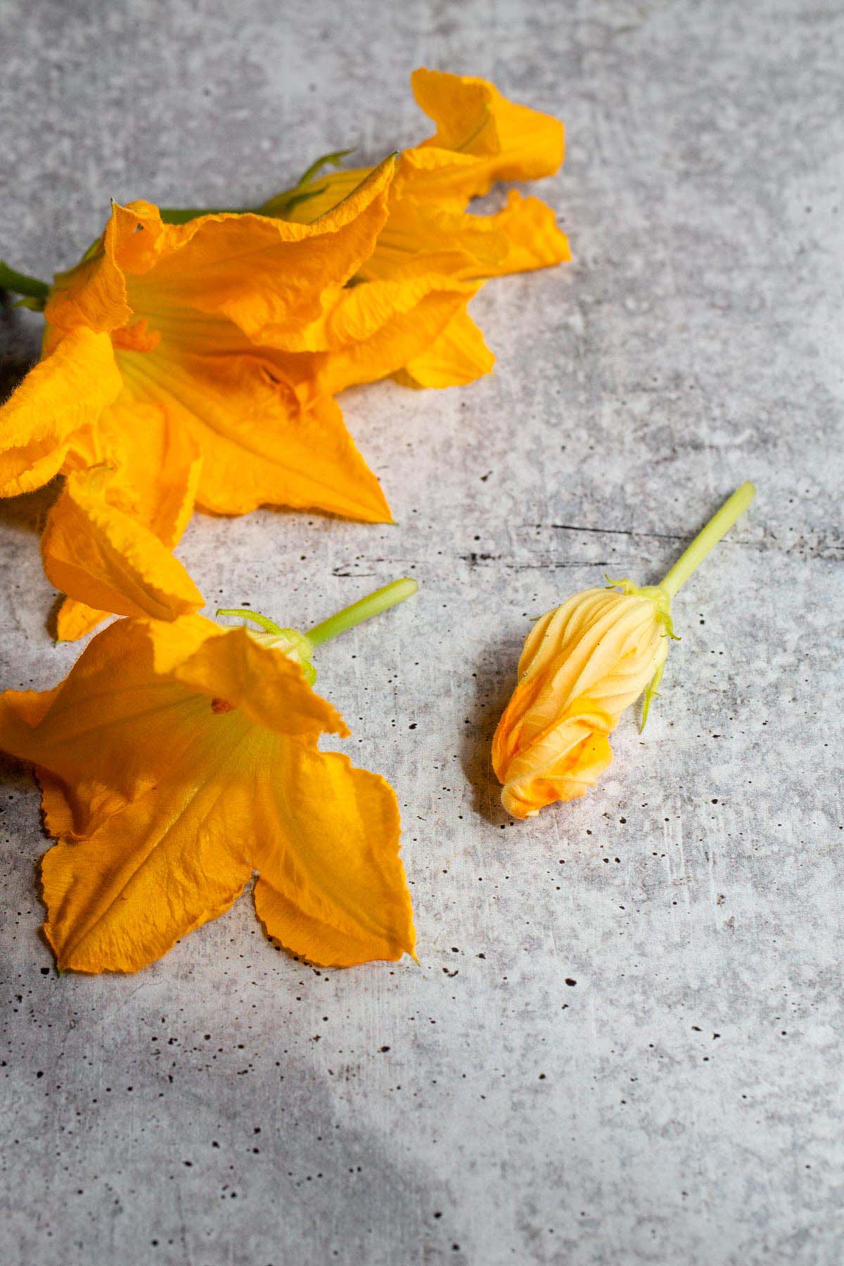 Zucchini flowers.