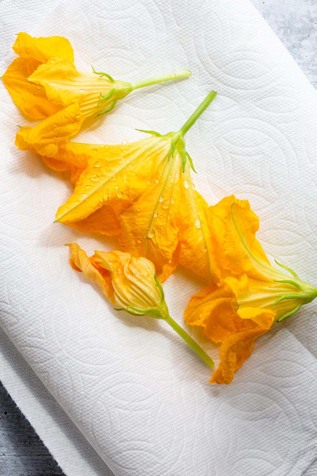 Zucchini flowers on a paper towel.