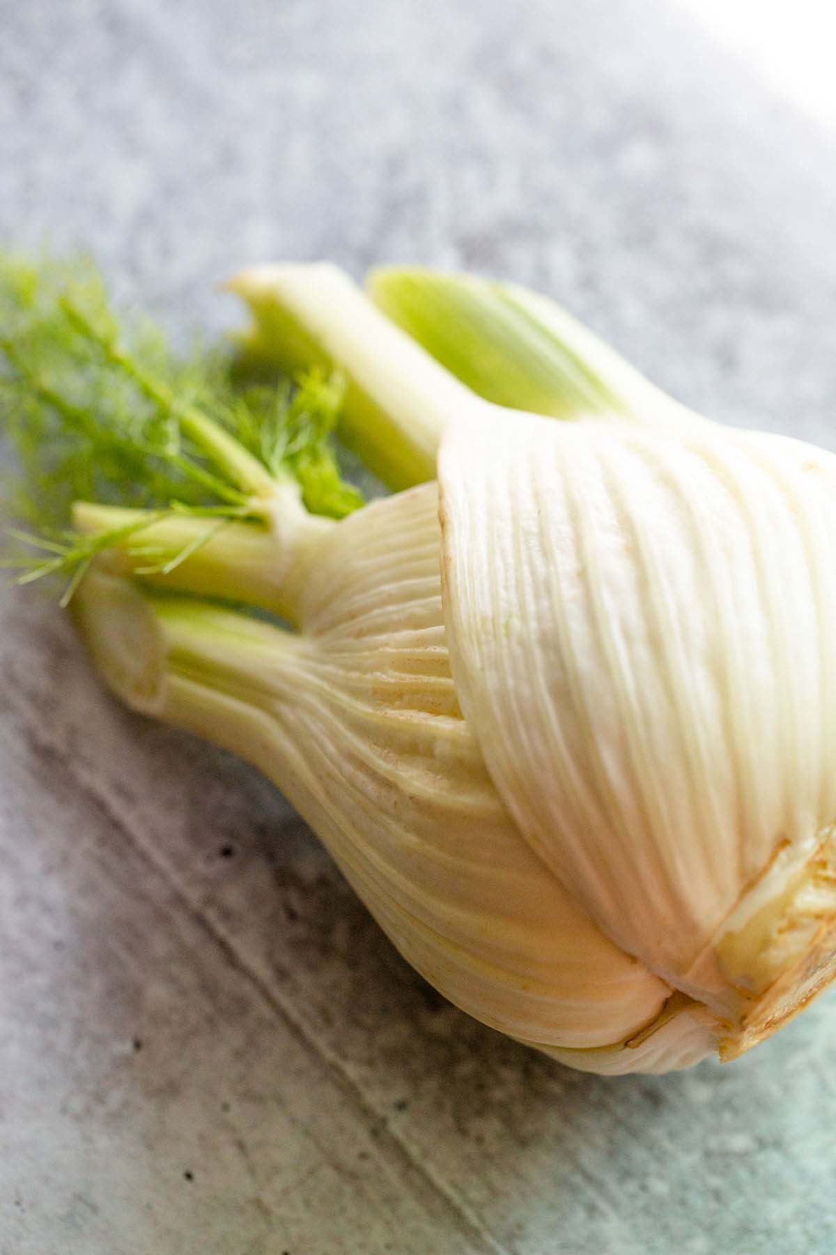 Fennel bulb.