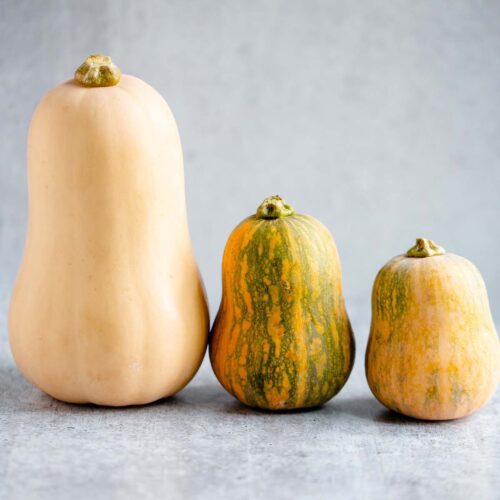 honeynut squash and butternut squash
