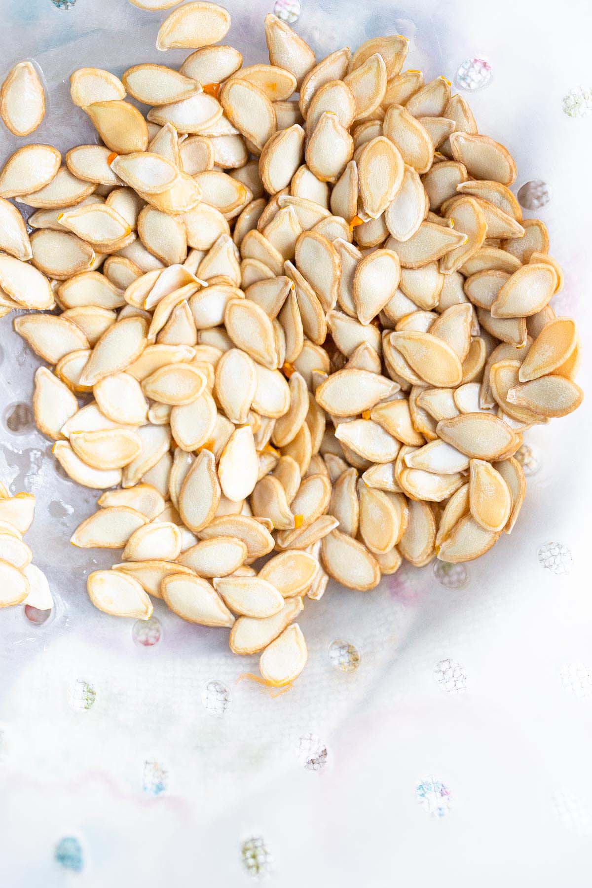 Squash seeds in a colander