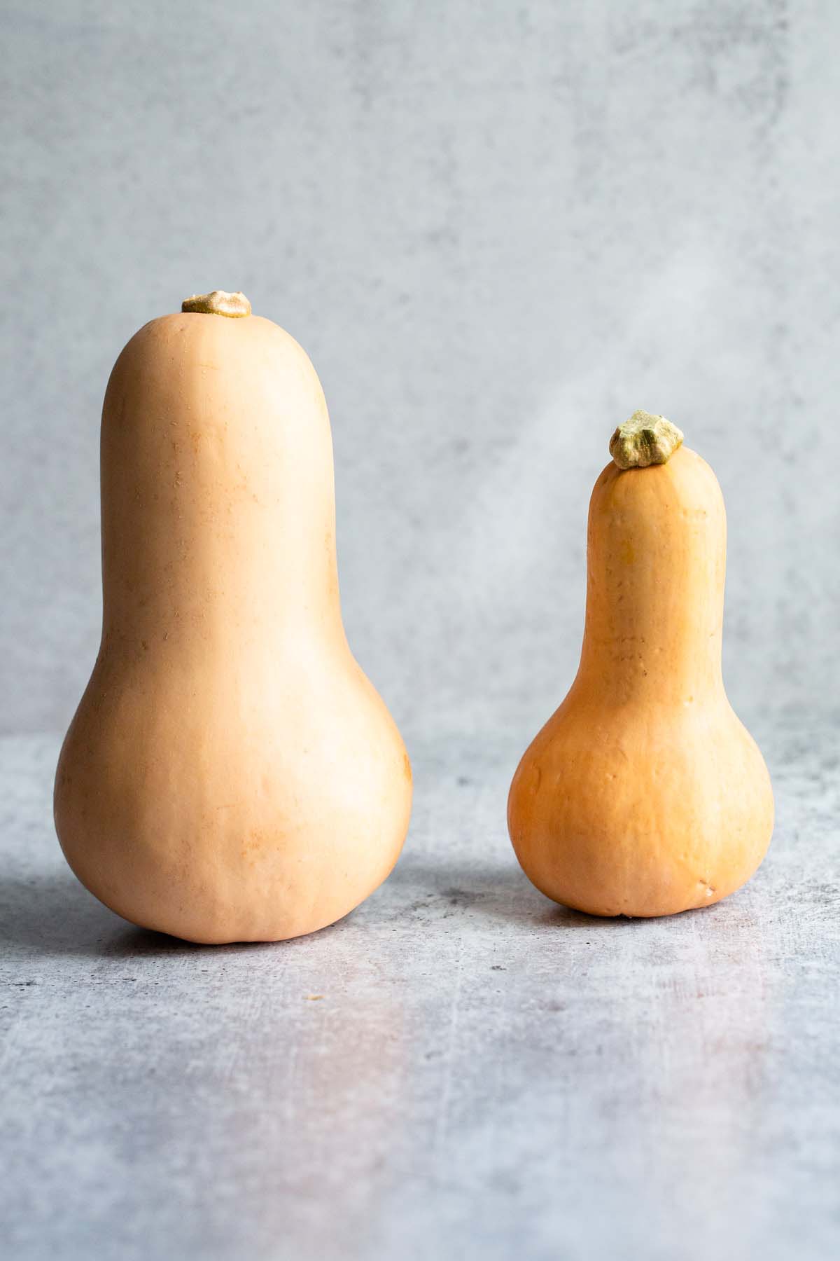 Honeypatch squash and butternut squash.