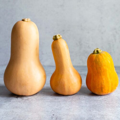 Butternut squash, honeypatch squash, and honeynut squash next to each other.