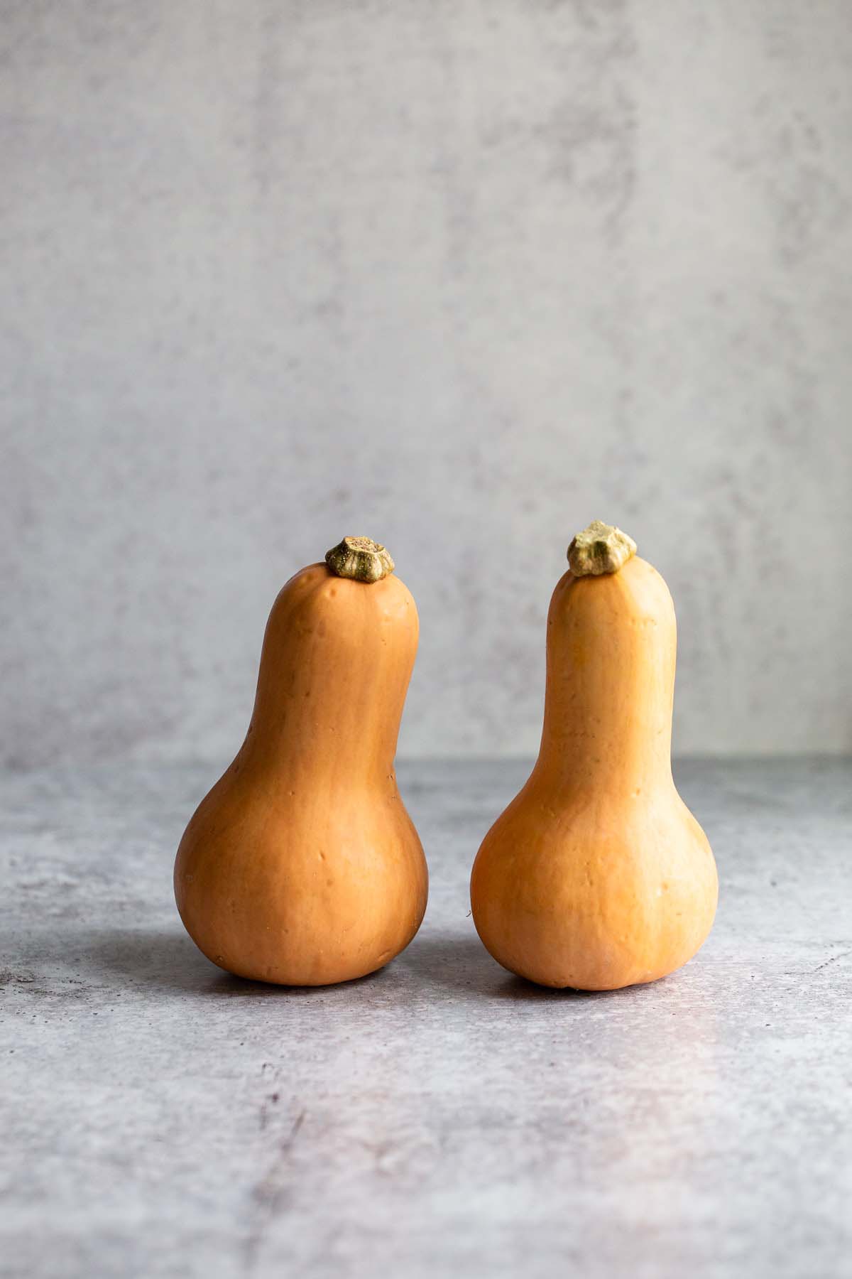 Two honeypatch squash.