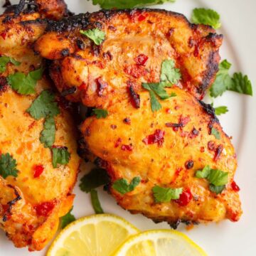 Harissa chicken topped with cilantro.