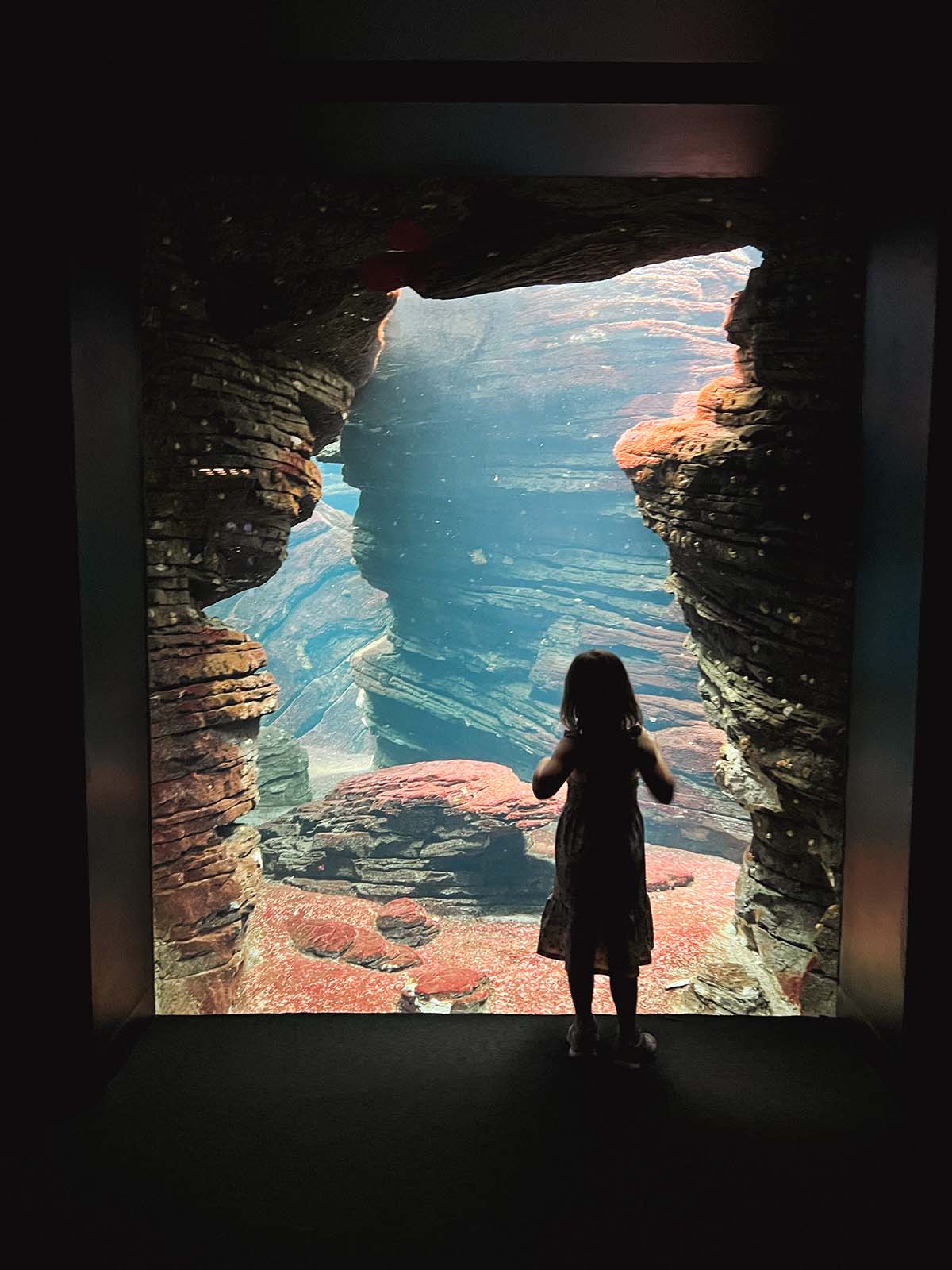 Kids at the aquarium.