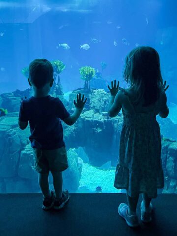 Kids at the aquarium.