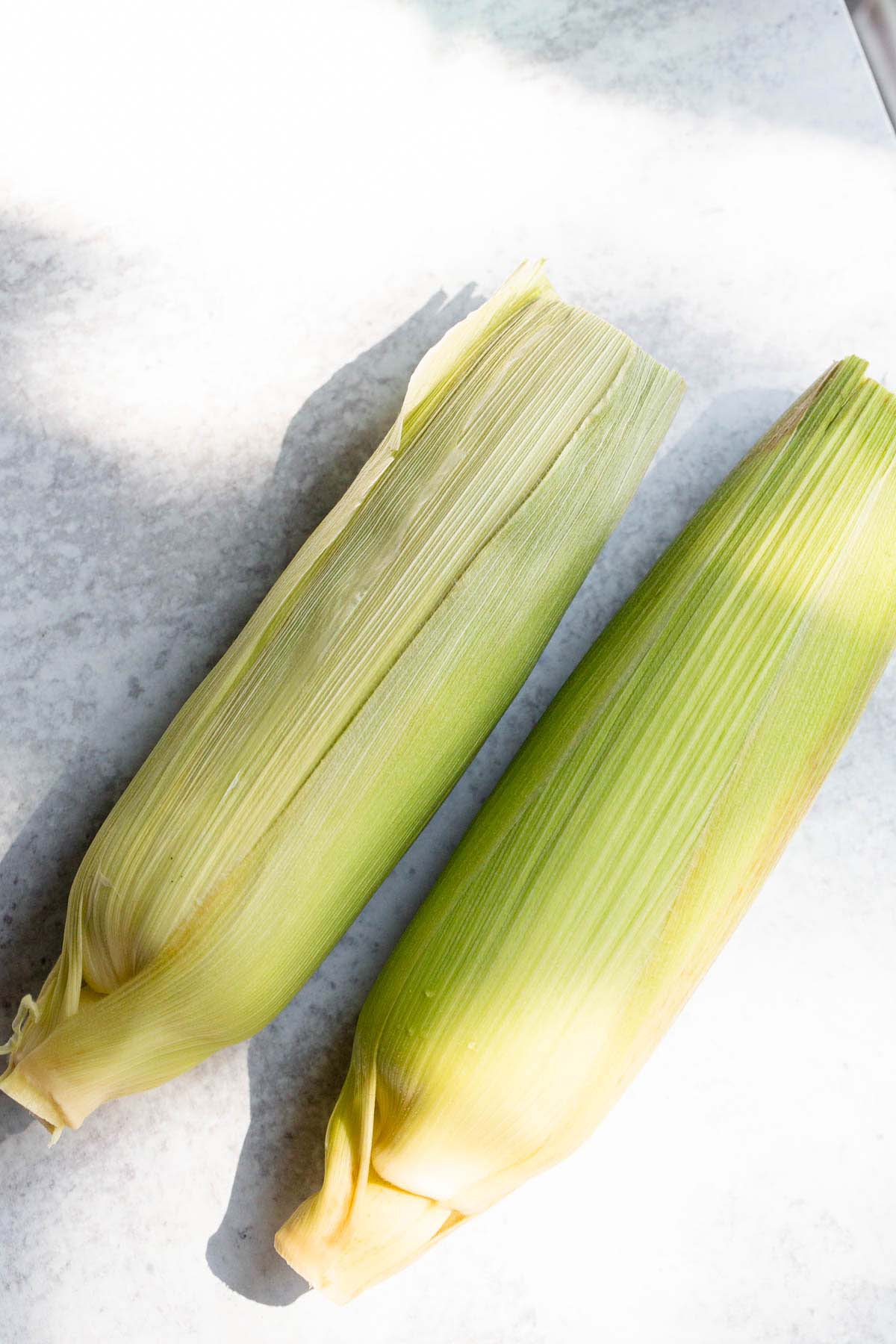 Corn on the cob in the husk