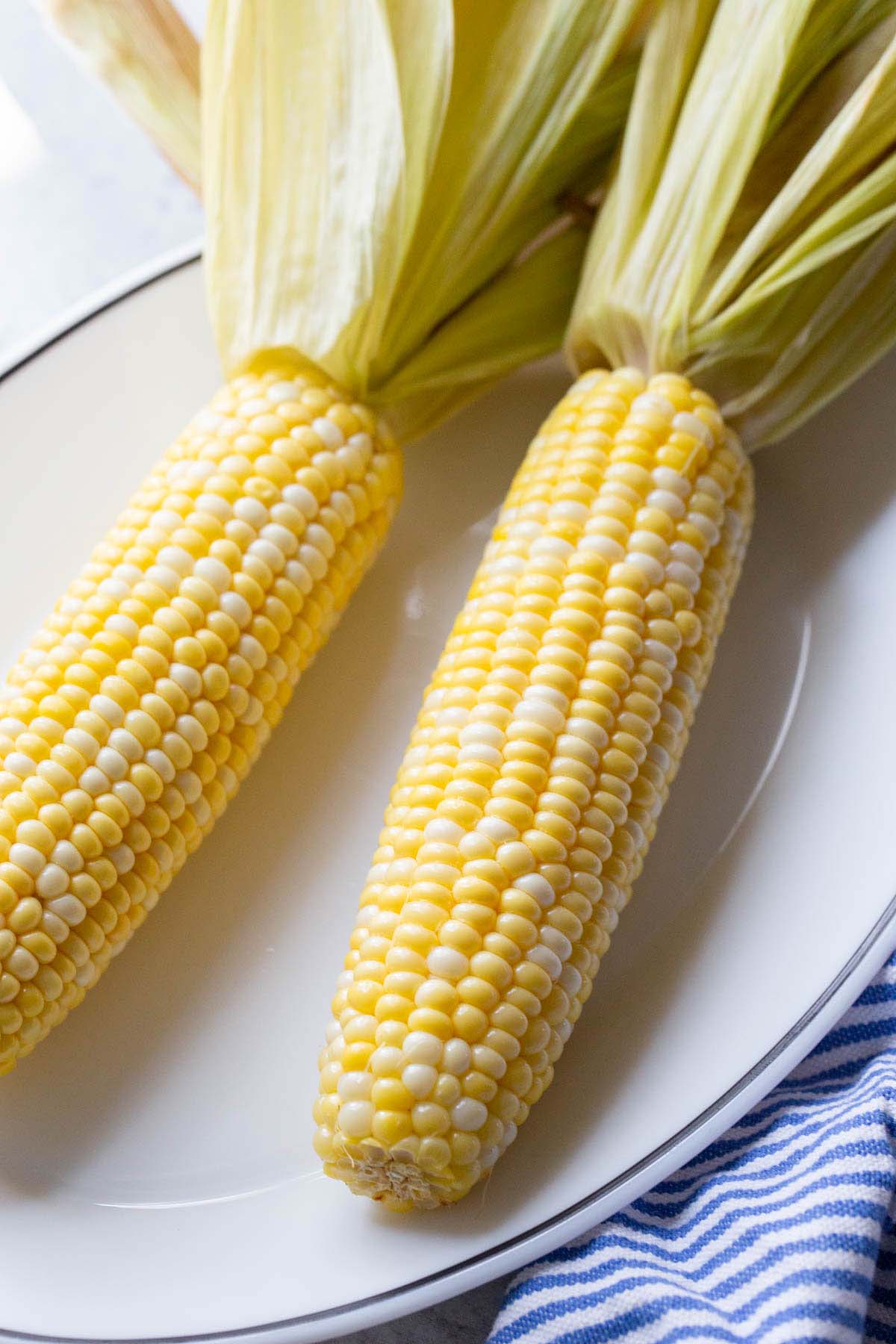 Corn on the cob on a plate.