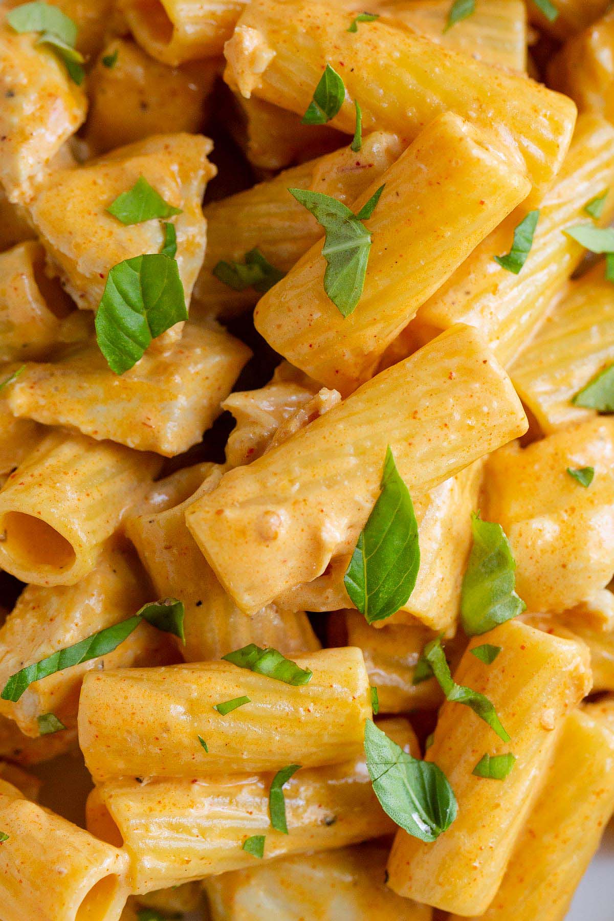 Peri peri pasta up close