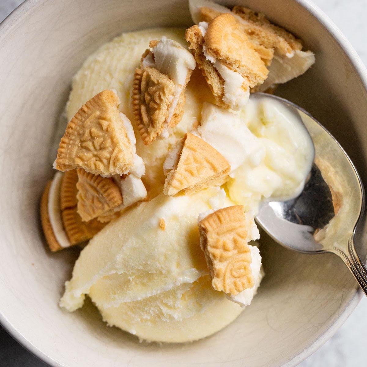 Ninja Creami Lemon Ice Cream - Step by Step Photos