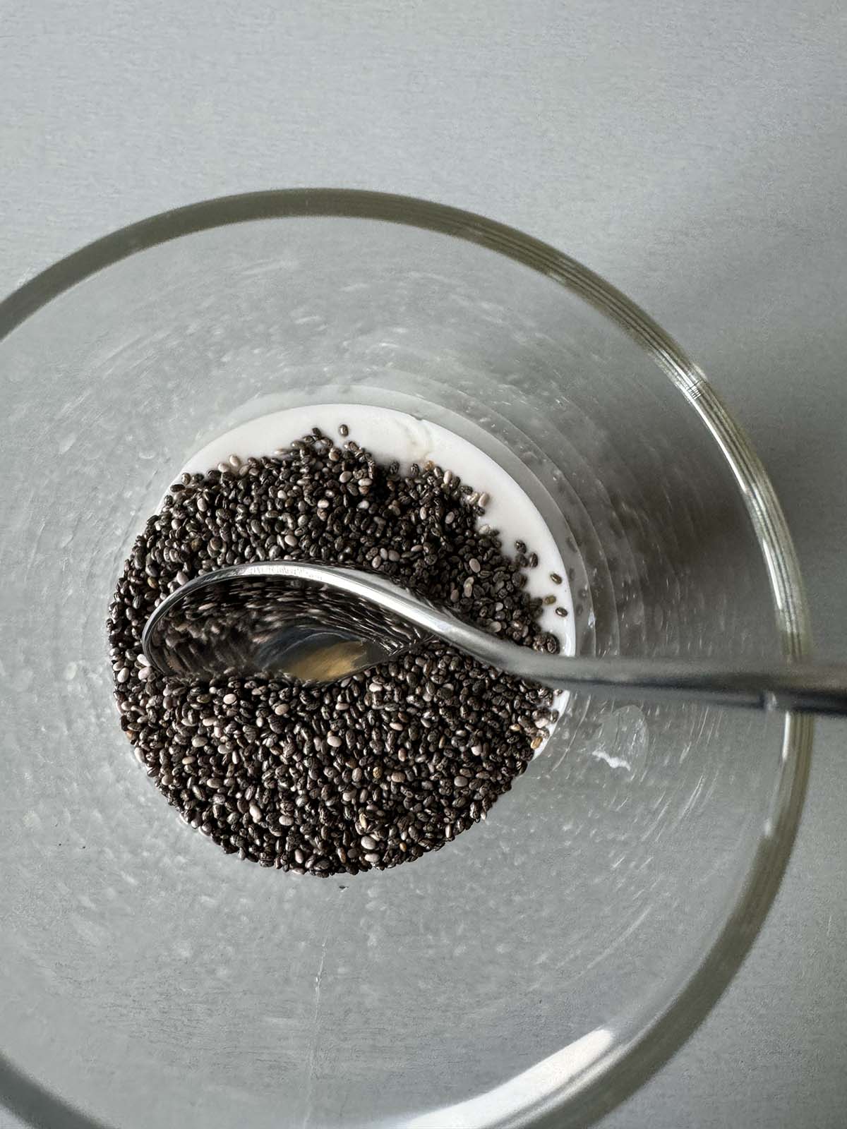 chia seeds and milk