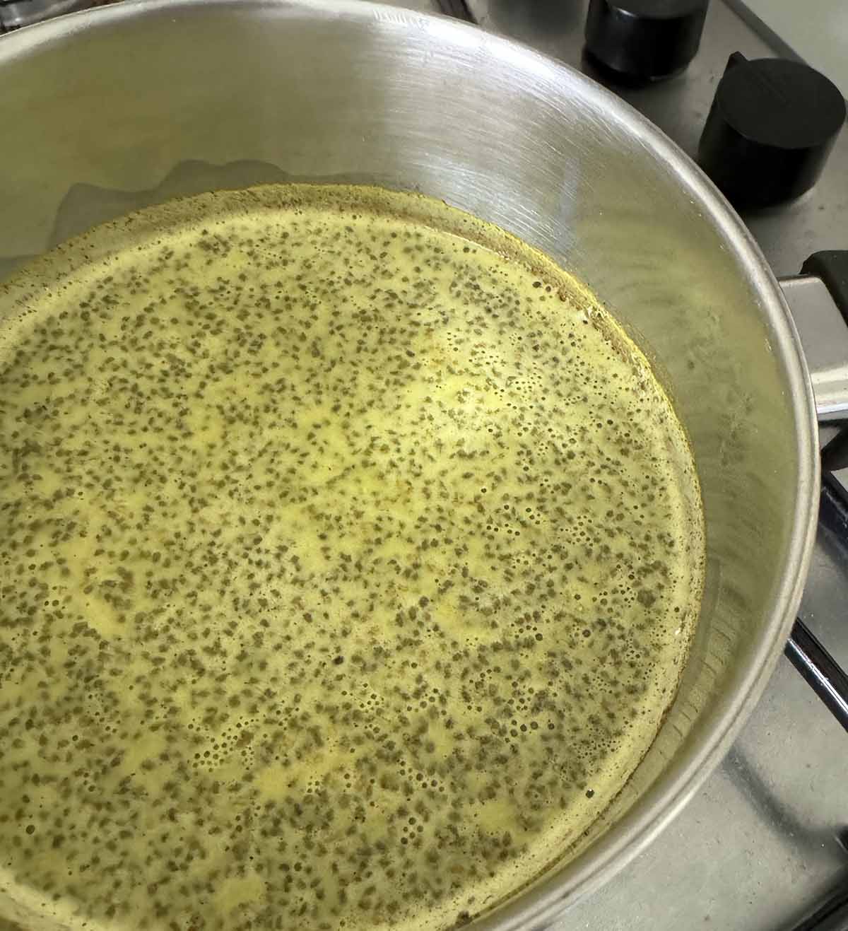 chia seeds stirred into golden milk