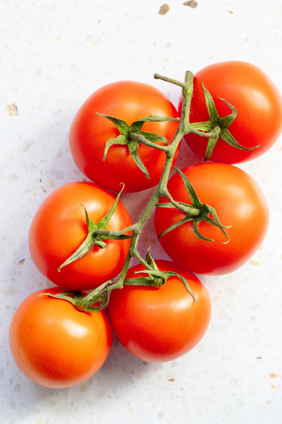 Tomatoes on the vine