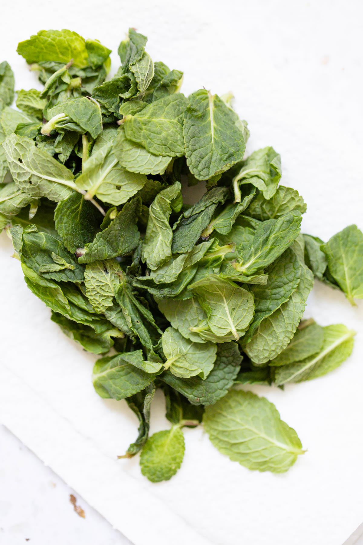 Mint leaves