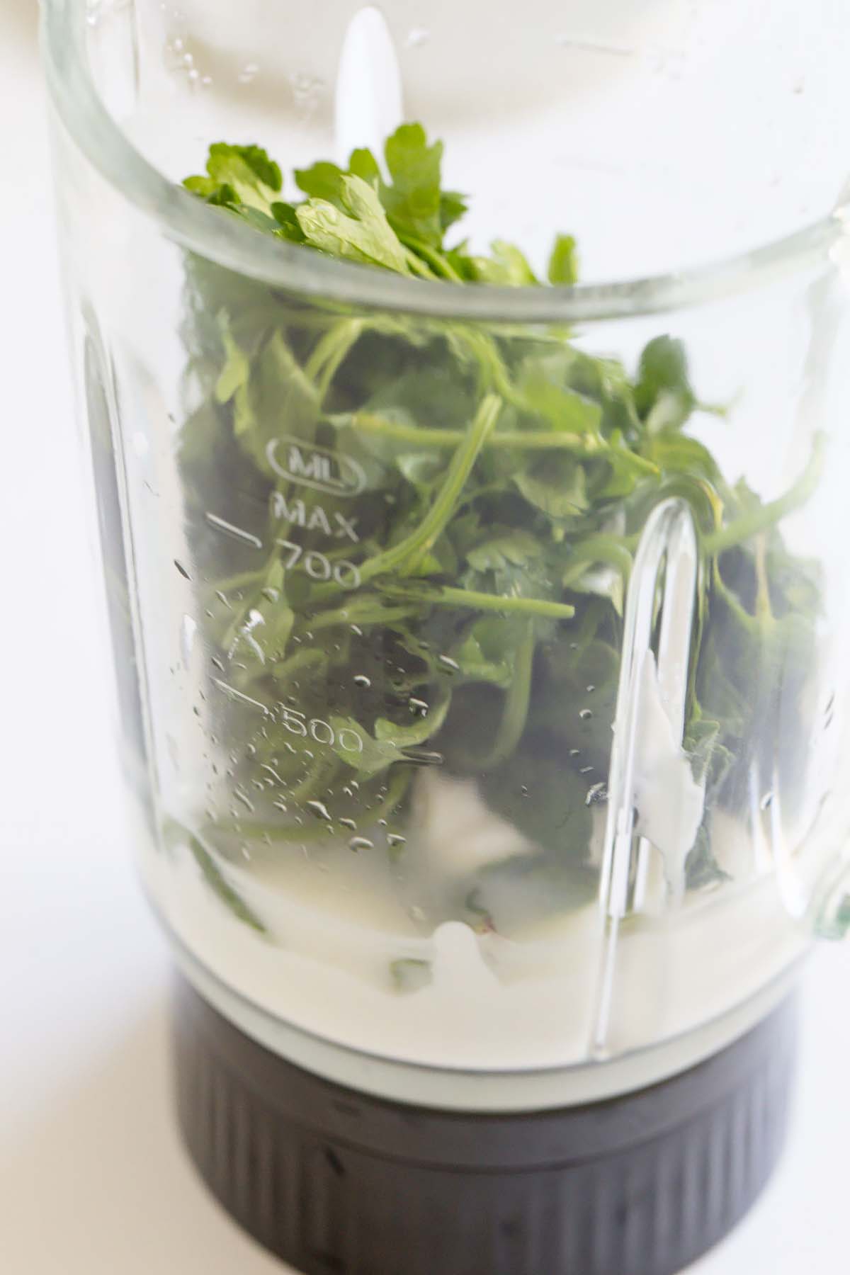 Ingredients in the blender