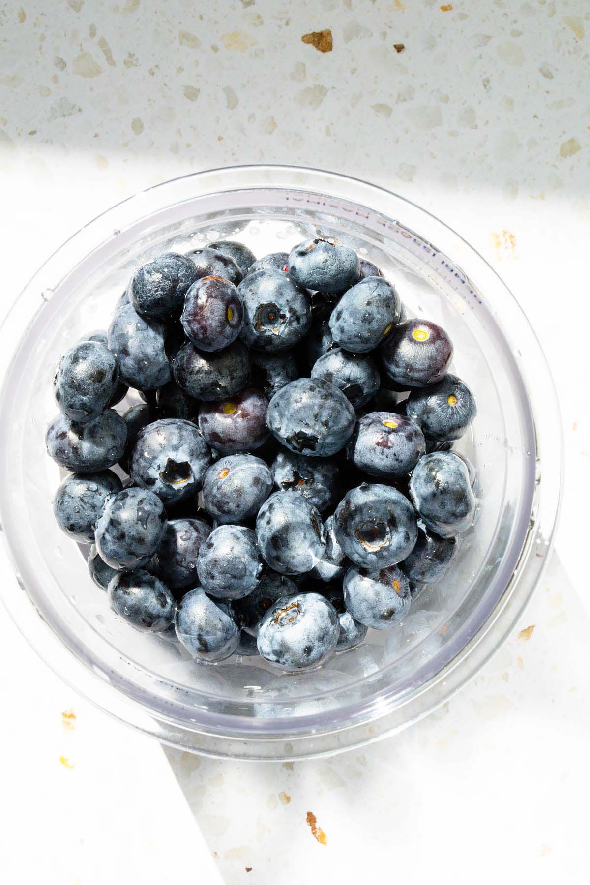 Blueberries in Ninja Creami container