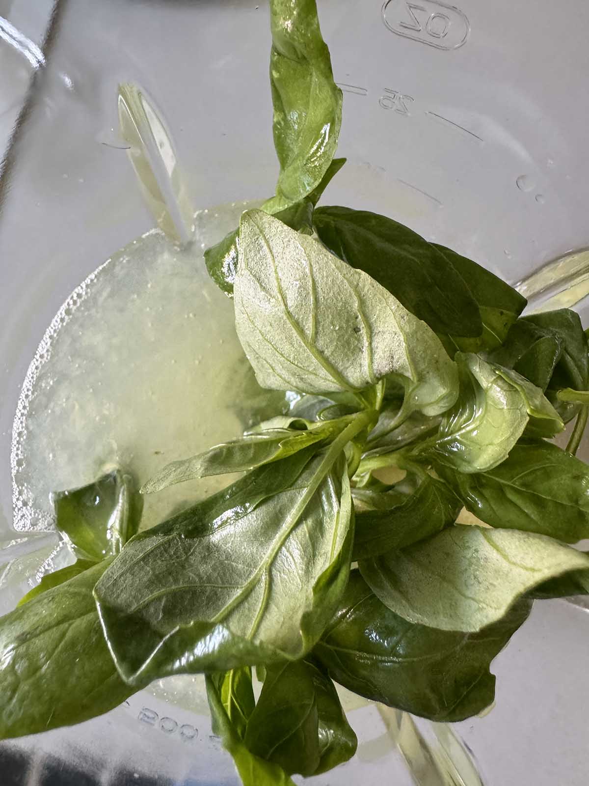 Sorbet ingredients in blender
