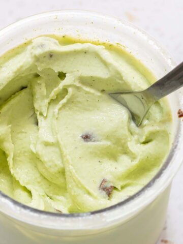 Ninja Creami Mint Chocolate Chip