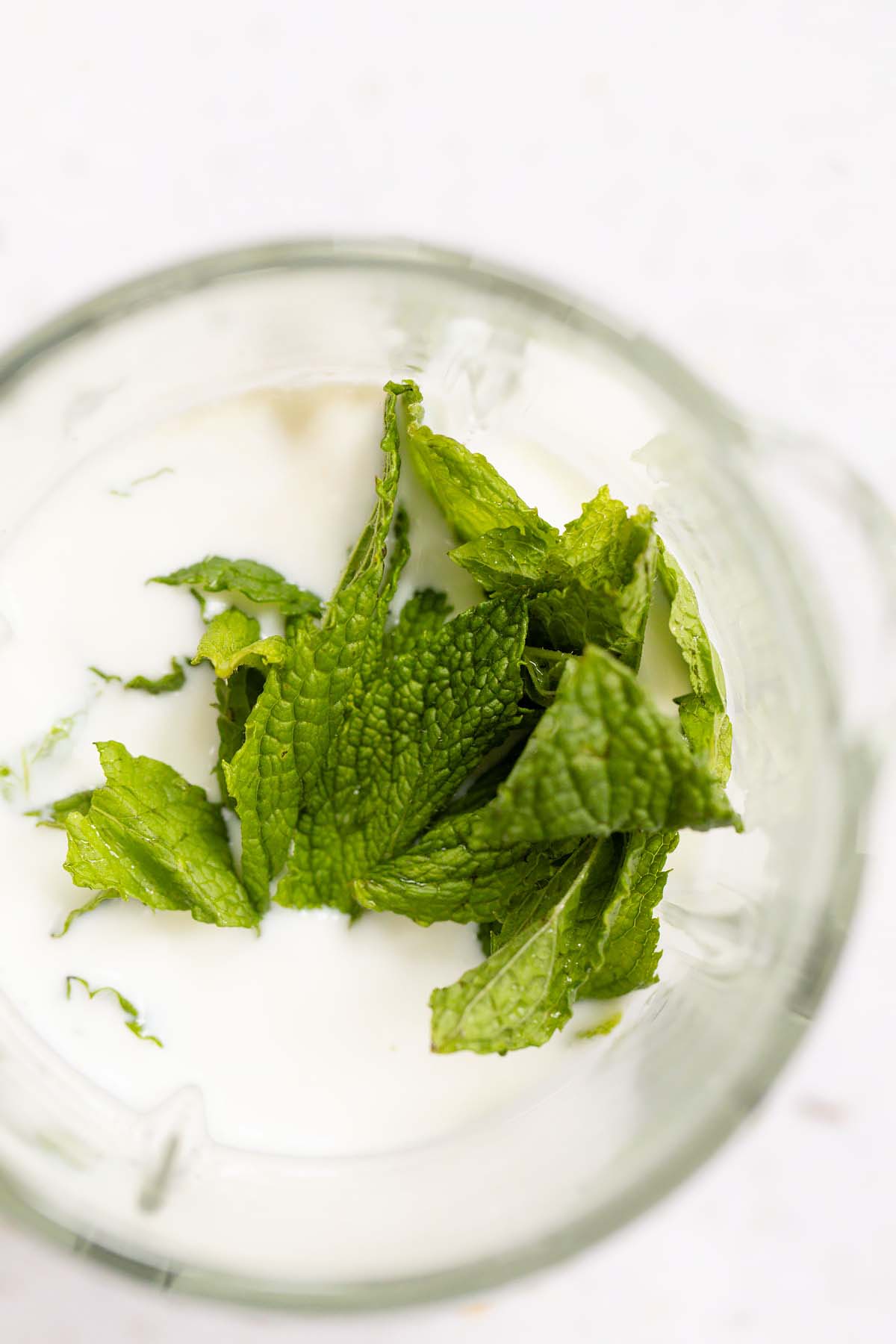 Ice cream ingredients and fresh mint in a blender