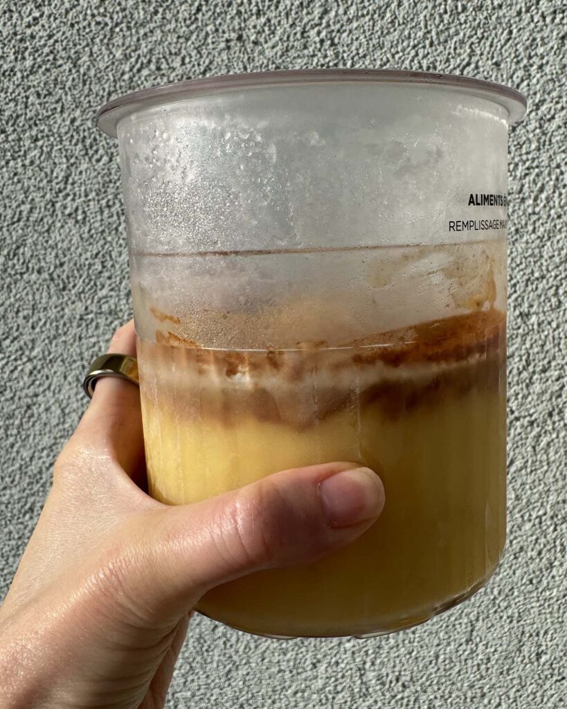 Frozen Ninja Creami eggnog ice cream