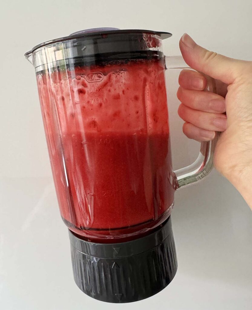 blended cranberry sorbet ingredients