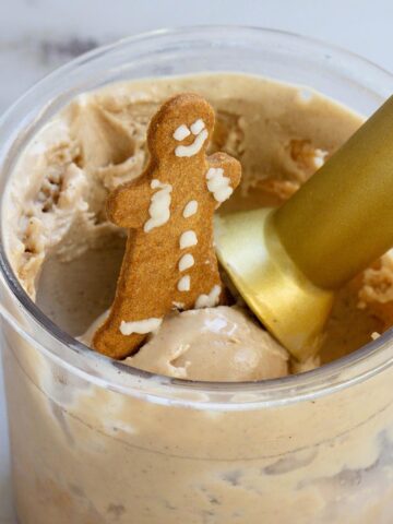 Ninja Creami gingerbread ice cream