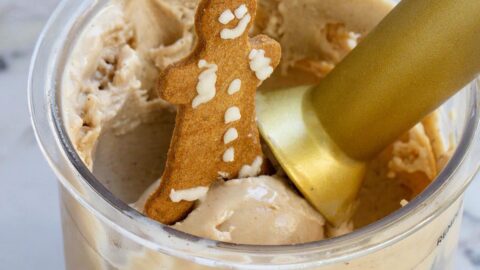 Ninja Creami Gingerbread Ice Cream - Food Banjo
