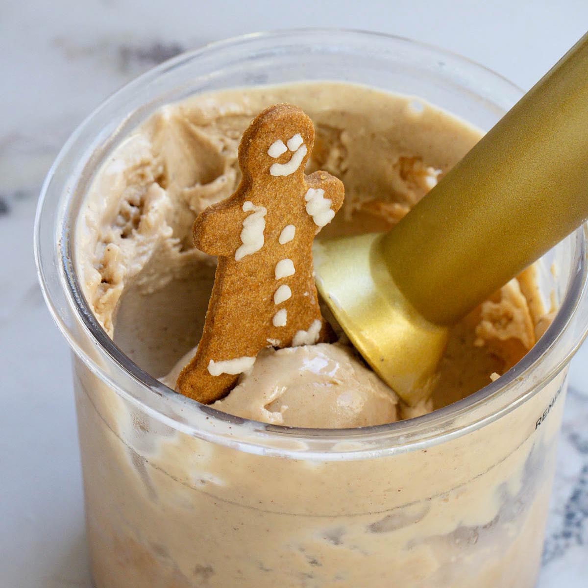Ninja Creami Gingerbread Ice Cream - Food Banjo