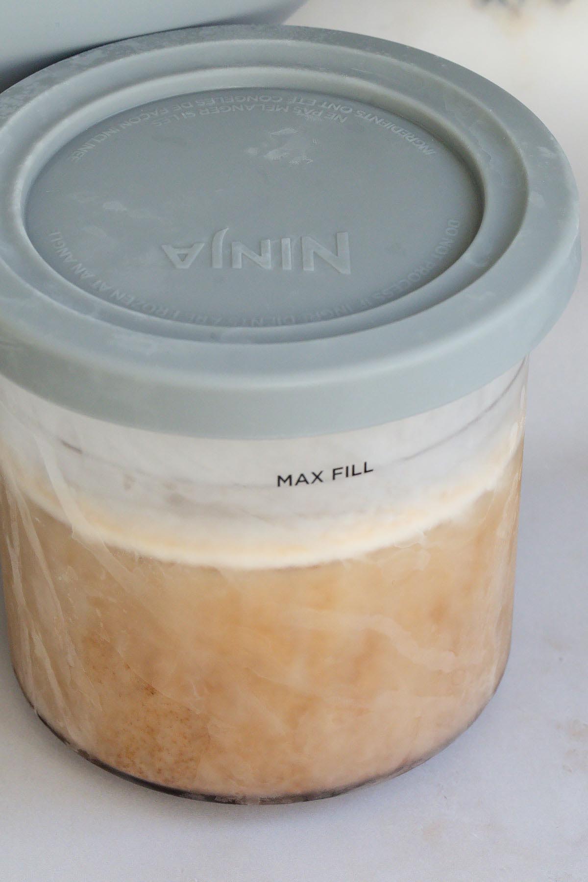 Frozen gingerbread ice cream in Ninja Creami container