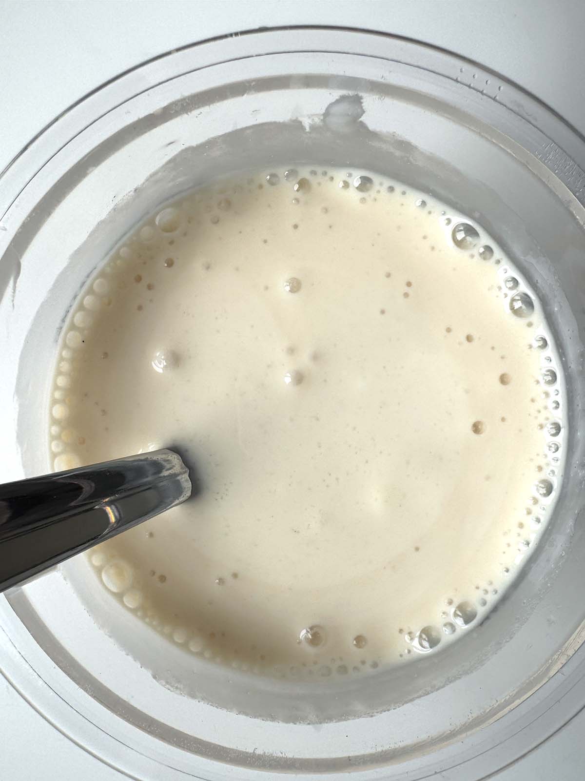 Ingredients mixed together in Creami container