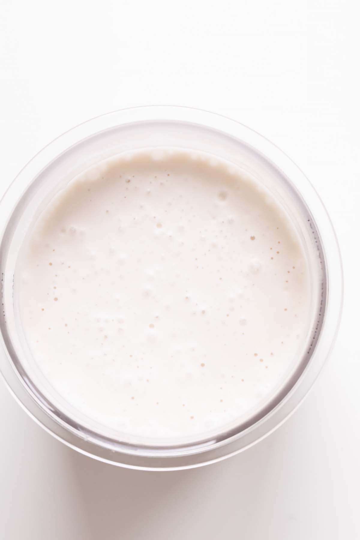 Ingredients in Ninja Creami container