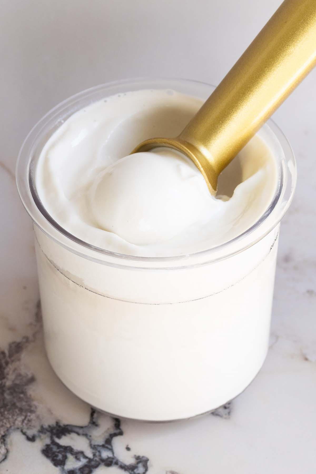Ninja Creami coconut ice cream