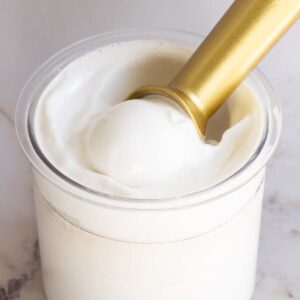 Ninja Creami coconut ice cream