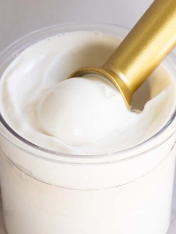 Ninja Creami coconut ice cream