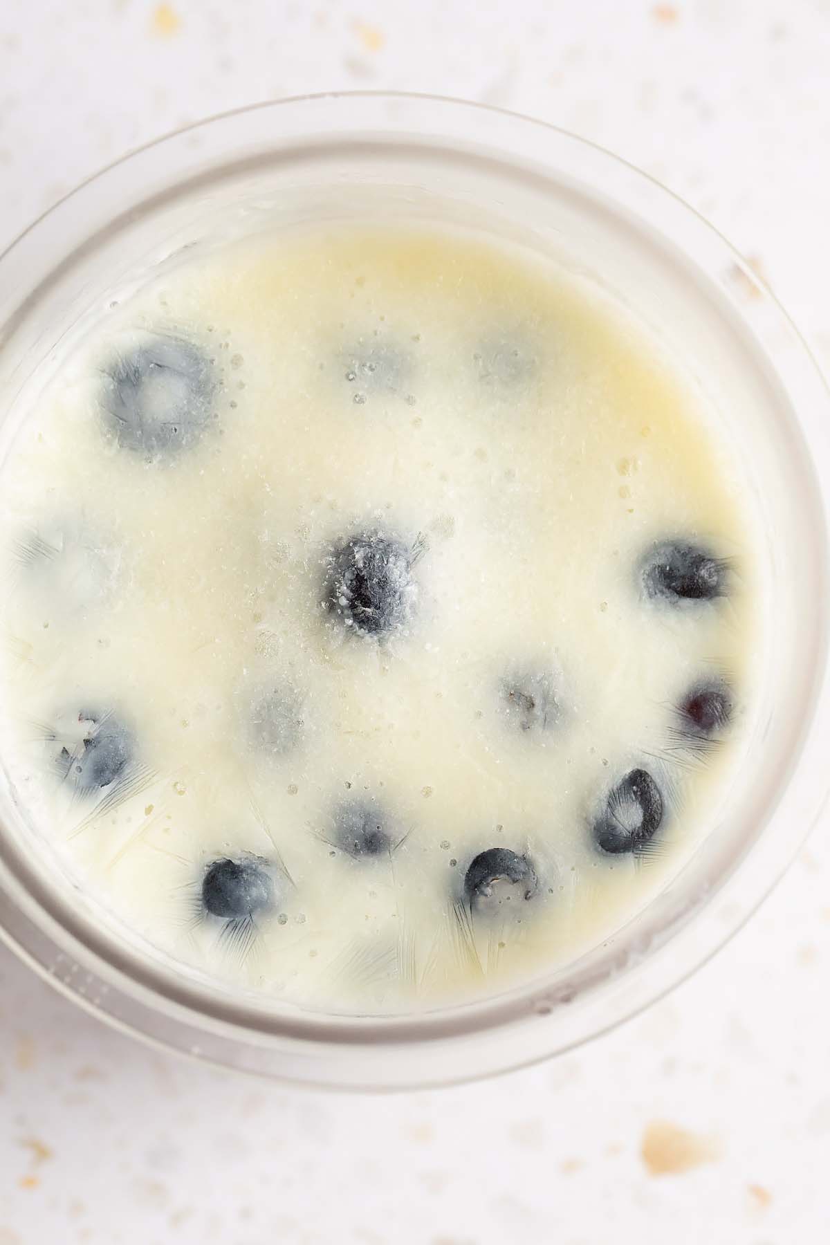 Frozen yogurt before processing